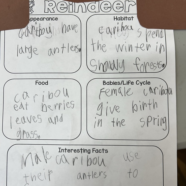 1st graders used the PebbleGo database to research reindeer. #proudcardinal