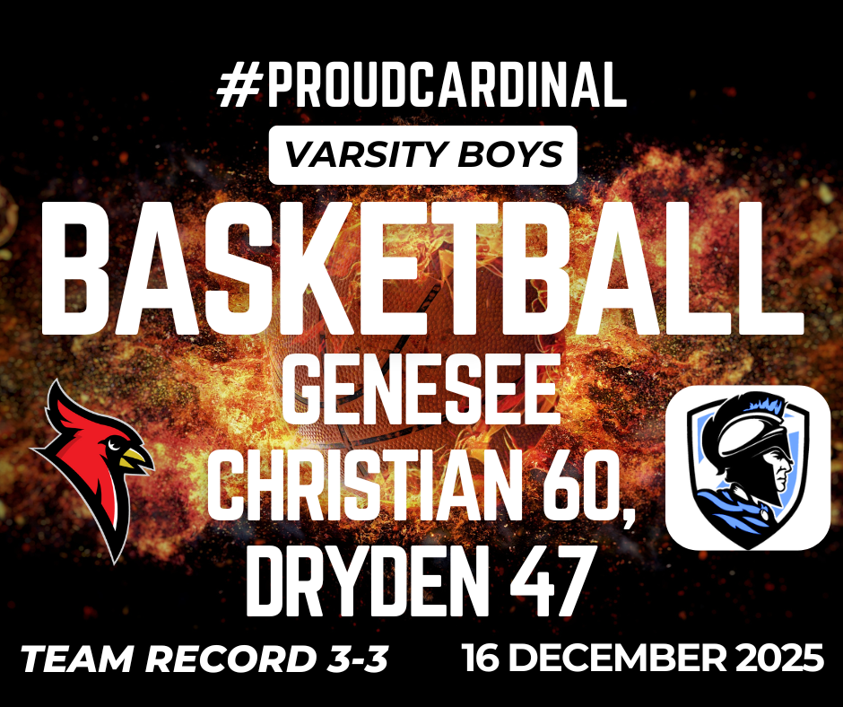 basketball on fire photo; cardinal logo; soldiers logo