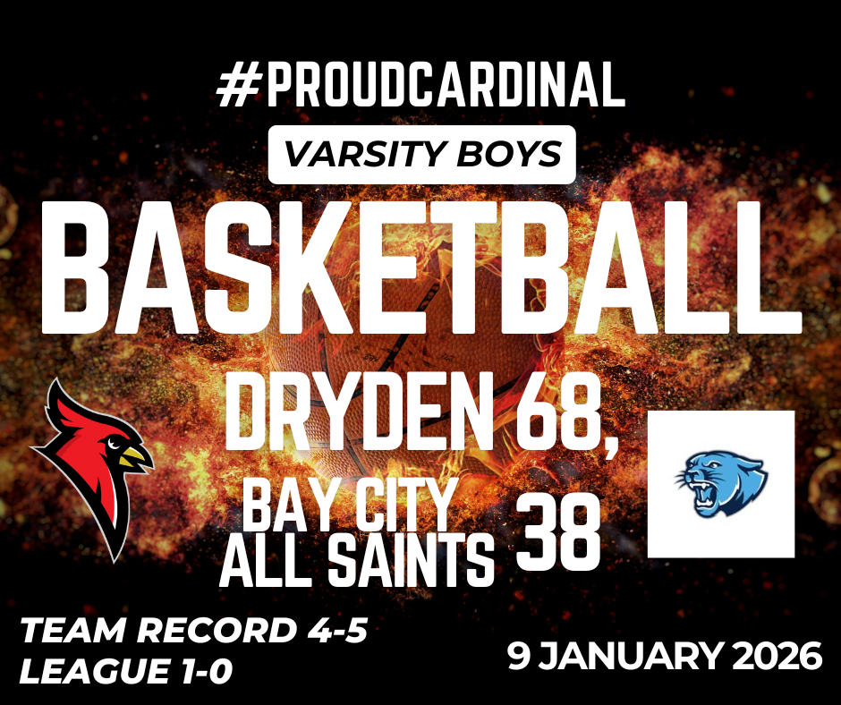 basketball on fire photo; cardinal logo; panthers logo