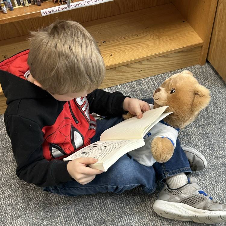 1st graders grabbed a bear buddy this week in the library and read to  it. #growingreaders #proudcardinal