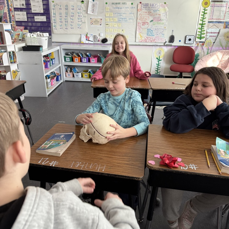 Today Bioarchaeology Professor Holly Yatros visited Mrs Calvert’s class and discussed how we make sense of the past through human material culture and remains!