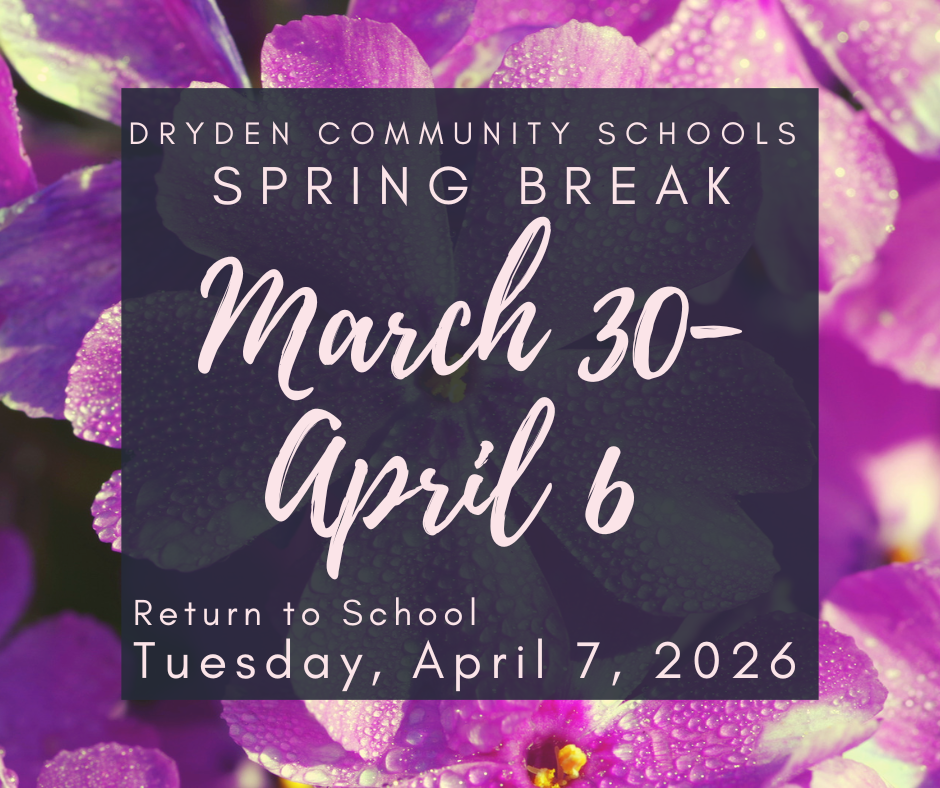 background of purple flowers