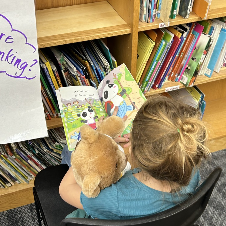 1st grade met their bear reading buddies today and talked through a picture walk or read to them. #growingreaders #proudcardinal