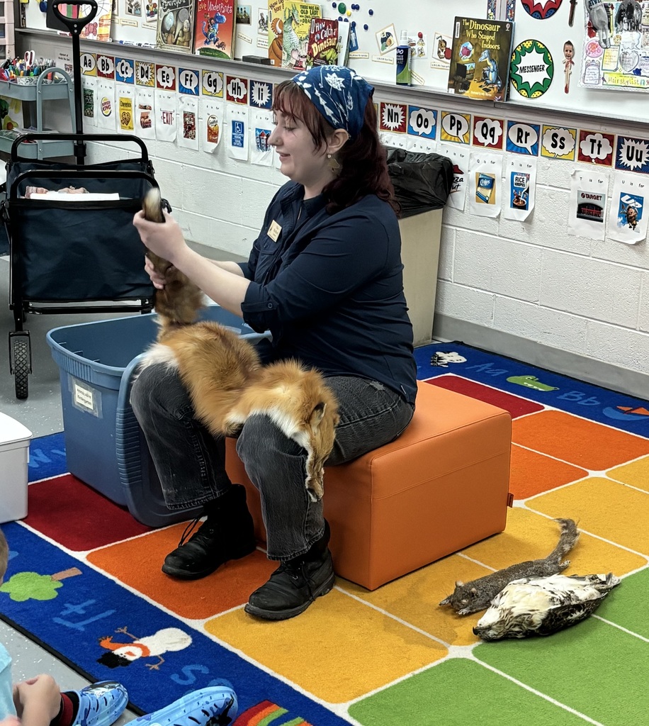 Our annual Science Day was today.  The day was filled with learning about nature and science. We learned about animals -  tarantulas, a famous crying bird, an armadillo, and more - saw some 6th grade science fair projects, learned about life cycles, and more. A tree was planted in remembrance of Mrs. Hickmott and the day ended with Professor WOW!. Thank you to Four County Community Foundation for a grant that made this learning possible.  Thank you also to Seven Ponds Nature Center, Animal Magic, MI Science Center, our 6th grade science students, and Professor WOW! A special thanks to Mrs. Birkett for planning Science Day.  #proudcardinal