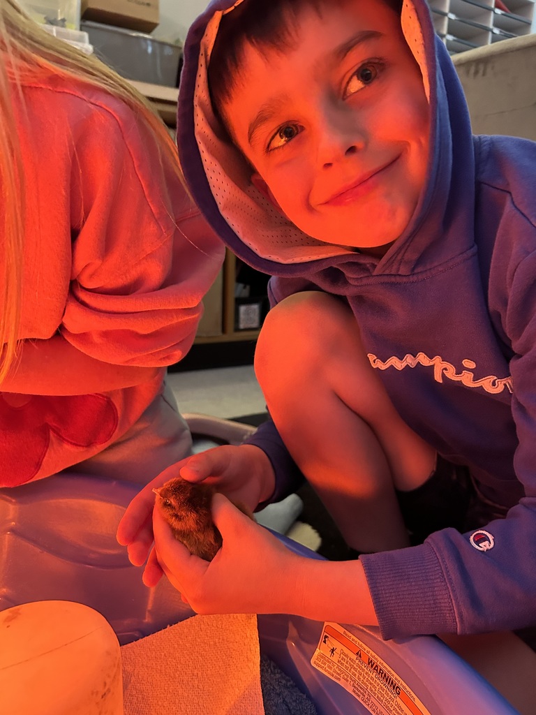 Third grade has been learning about life cycles in science. Mrs. Calvert and Ms. Marsh’s classes hatched baby chicks. To say that the kids had an absolute blast with this is an understatement! A memory they will have forever!🐣