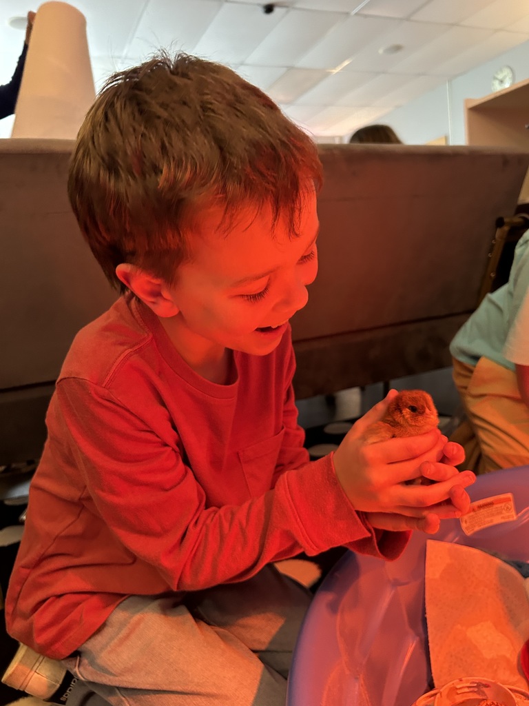 Third grade has been learning about life cycles in science. Mrs. Calvert and Ms. Marsh’s classes hatched baby chicks. To say that the kids had an absolute blast with this is an understatement! A memory they will have forever!🐣