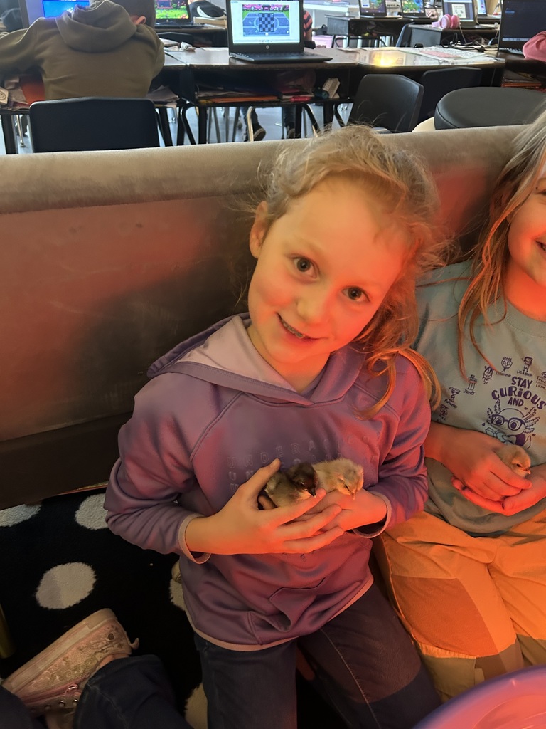Third grade has been learning about life cycles in science. Mrs. Calvert and Ms. Marsh’s classes hatched baby chicks. To say that the kids had an absolute blast with this is an understatement! A memory they will have forever!🐣