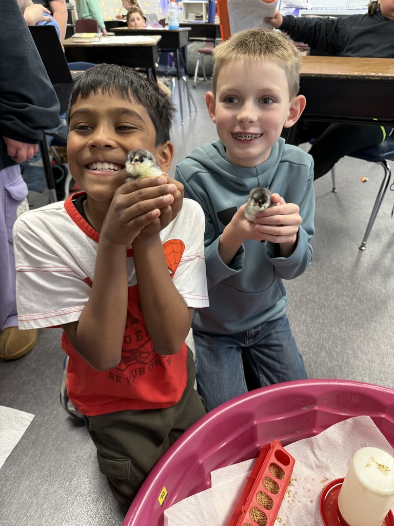Third grade has been learning about life cycles in science. Mrs. Calvert and Ms. Marsh’s classes hatched baby chicks. To say that the kids had an absolute blast with this is an understatement! A memory they will have forever!🐣