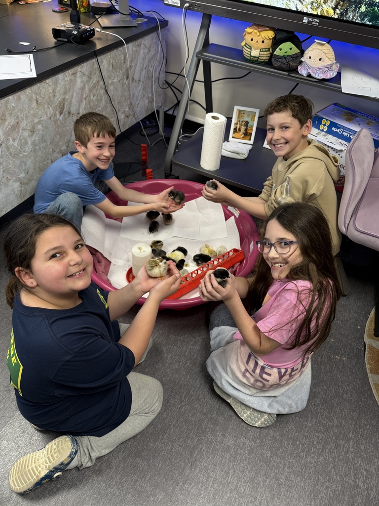 Third grade has been learning about life cycles in science. Mrs. Calvert and Ms. Marsh’s classes hatched baby chicks. To say that the kids had an absolute blast with this is an understatement! A memory they will have forever!🐣