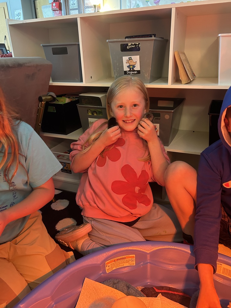 Third grade has been learning about life cycles in science. Mrs. Calvert and Ms. Marsh’s classes hatched baby chicks. To say that the kids had an absolute blast with this is an understatement! A memory they will have forever!🐣