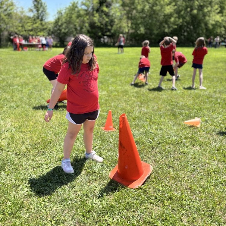 field day