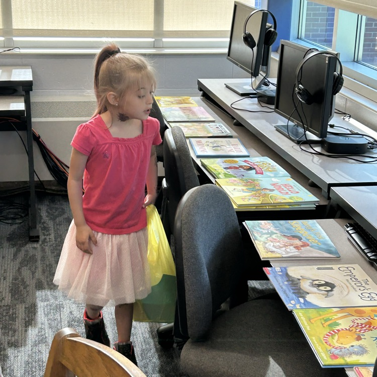 picking summer books