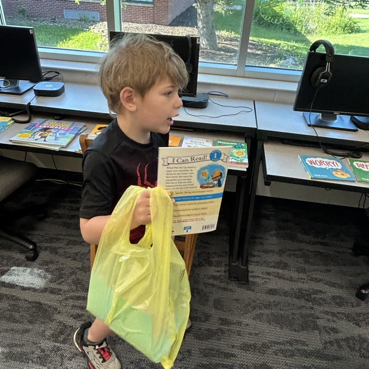 picking summer books