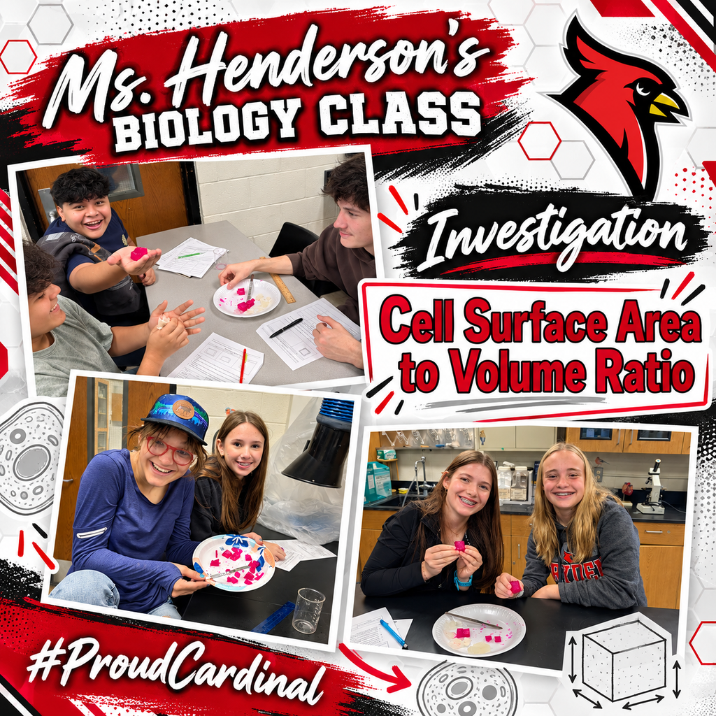 🧬 Hands-On Learning in Ms. Henderson’s Biology Class! 🔬 Students in Ms. Henderson’s Biology class recently completed an investigation focused on cell surface area-to-volume ratio. Through this hands-on activity, students explored how the size of a cell can affect its ability to efficiently move materials in and out. Using models, measurements, observations, and data collection, students were able to see an important biological concept come to life beyond the textbook. We love seeing our Cardinals learning through investigation, collaboration, and discovery! ❤️🖤 #ProudCardinal