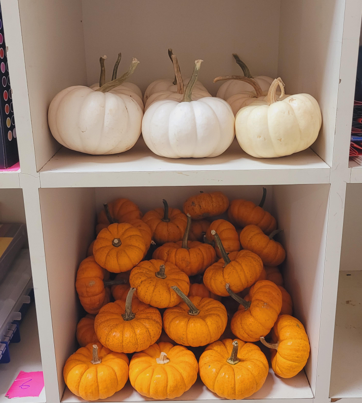 a bunch of pumpkins