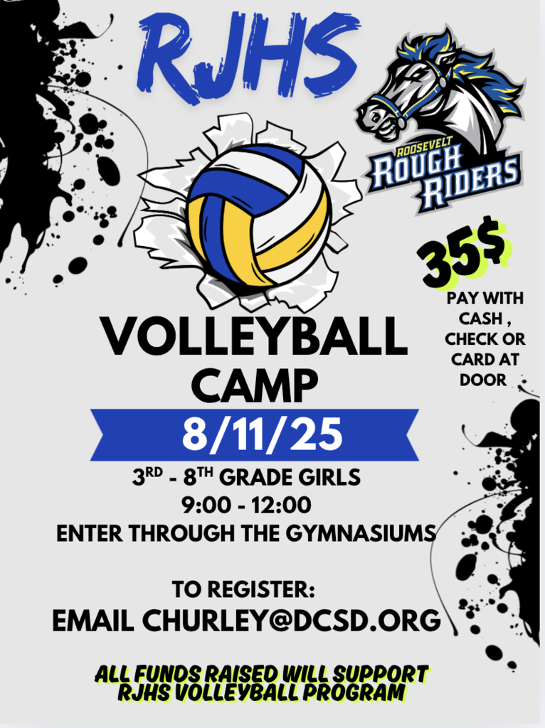 Volleyball camp