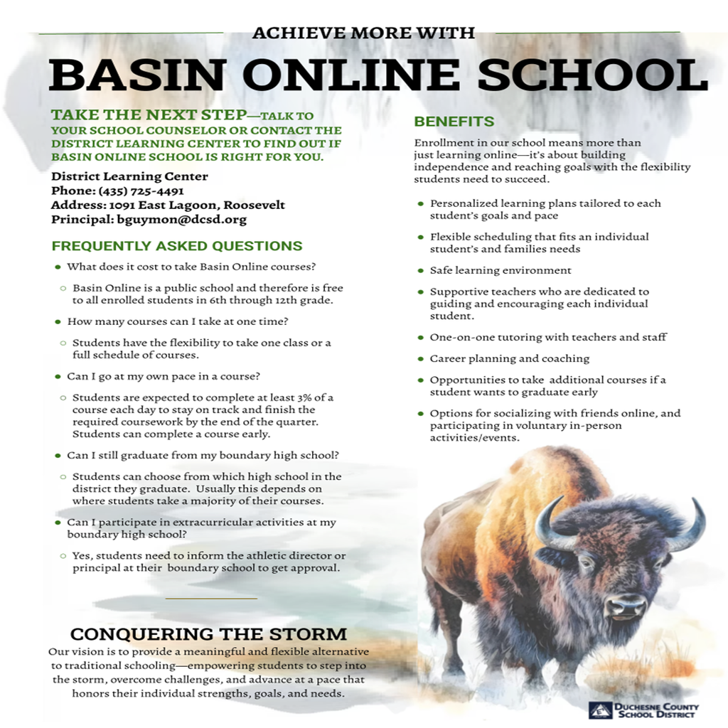 Achieve More With Basin Online School Ad