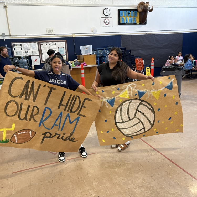 🏐🏈