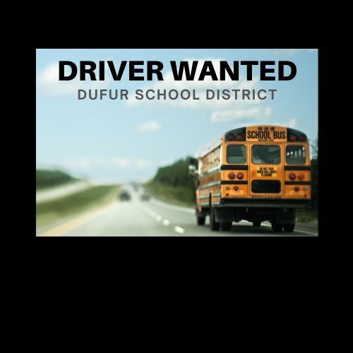 Wanted School Bus Route Driver