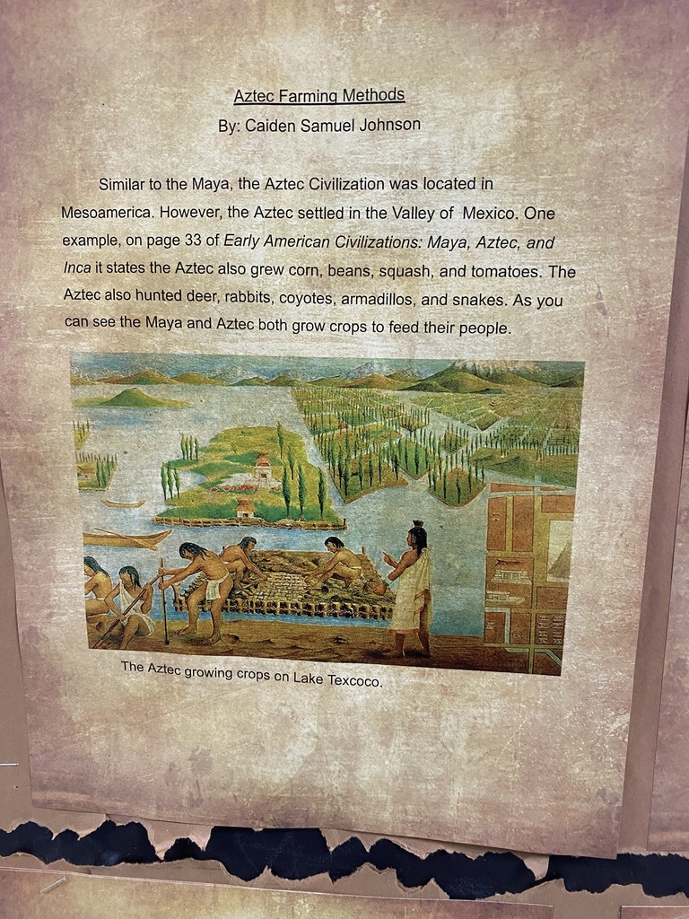 Ancient Civilizations 7