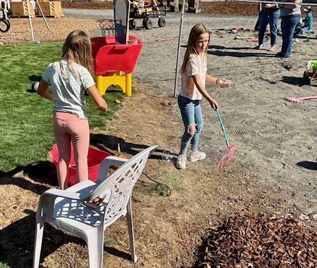 Skiles Pumpkin Patch 2