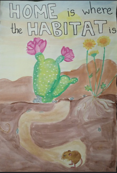 PosterContest3rdPlaceNational2025DaisyProctor