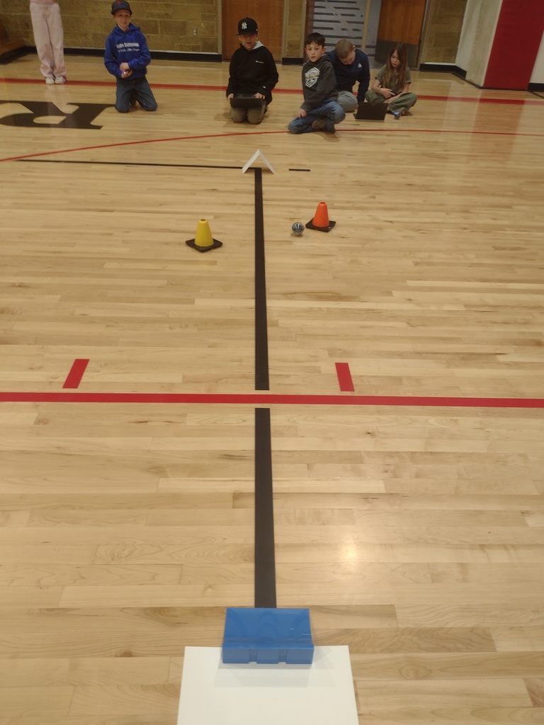 3rd Grade Activity 3