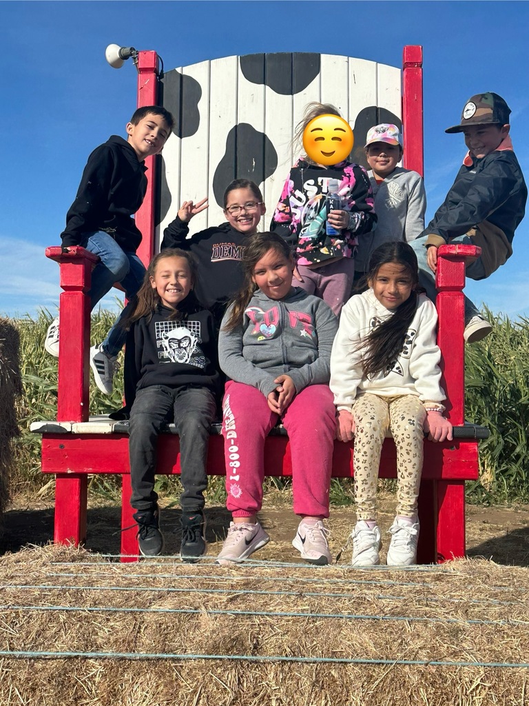 3rd Grade
