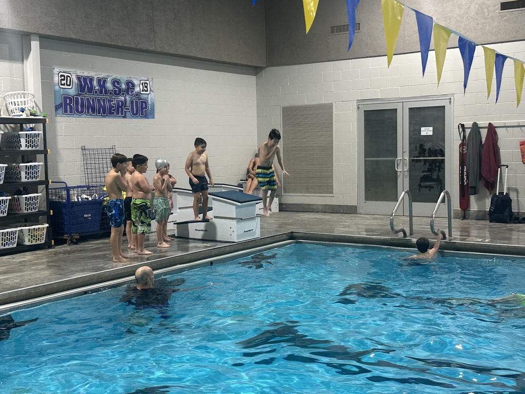 Swimming Lessons