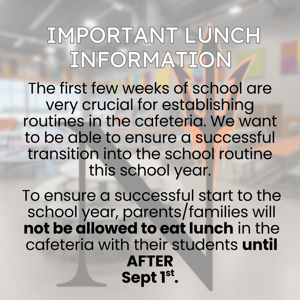 IMPORTANT BOY LUNCH REMINDERS