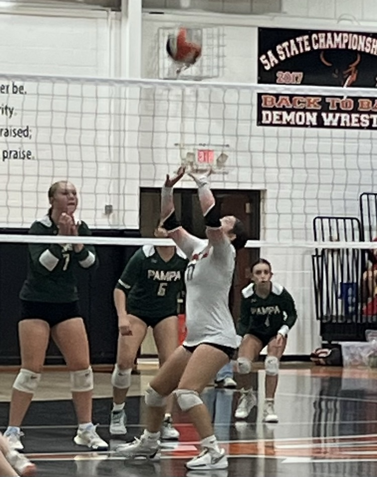 vb