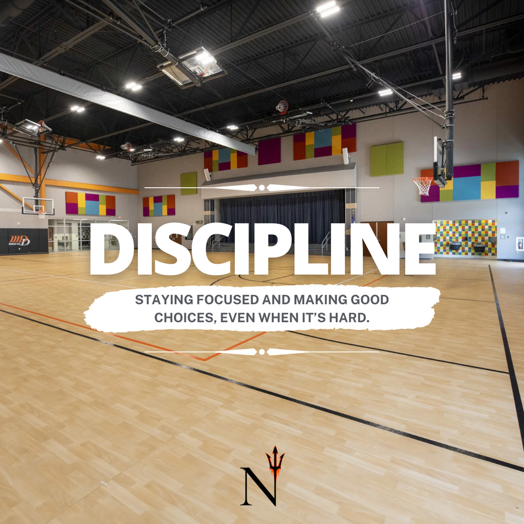 discipline