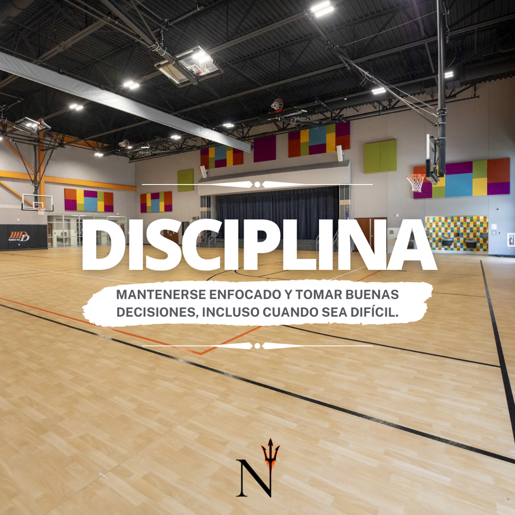 discipline