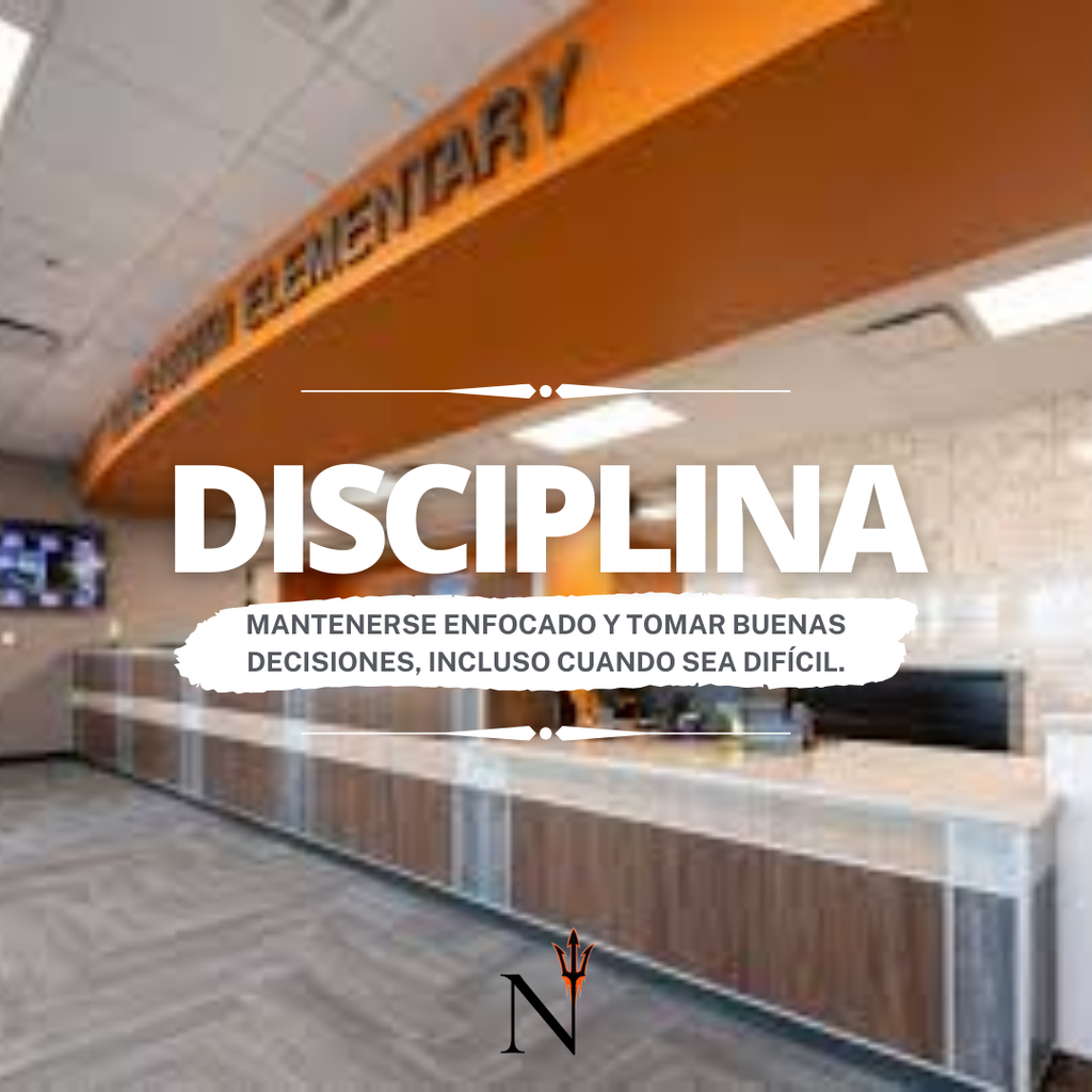 disciplina