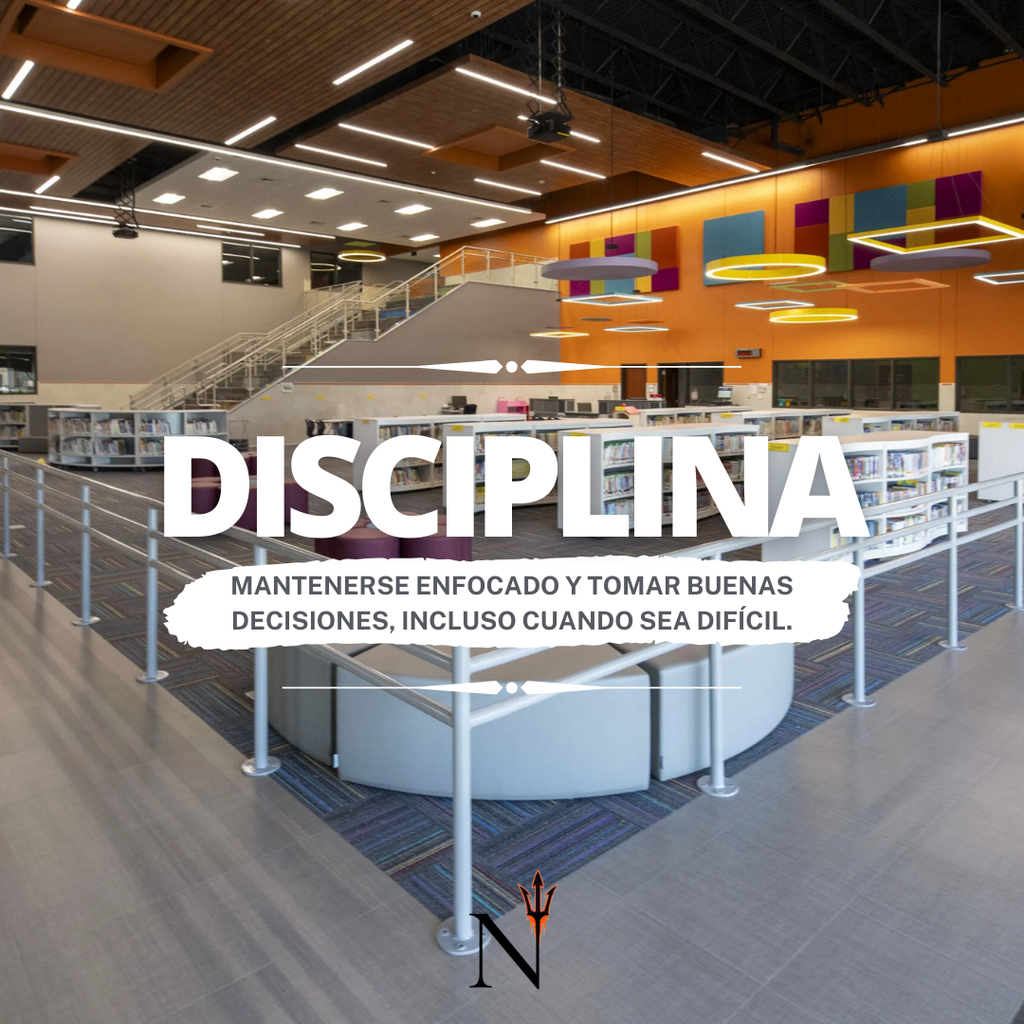 disciplina