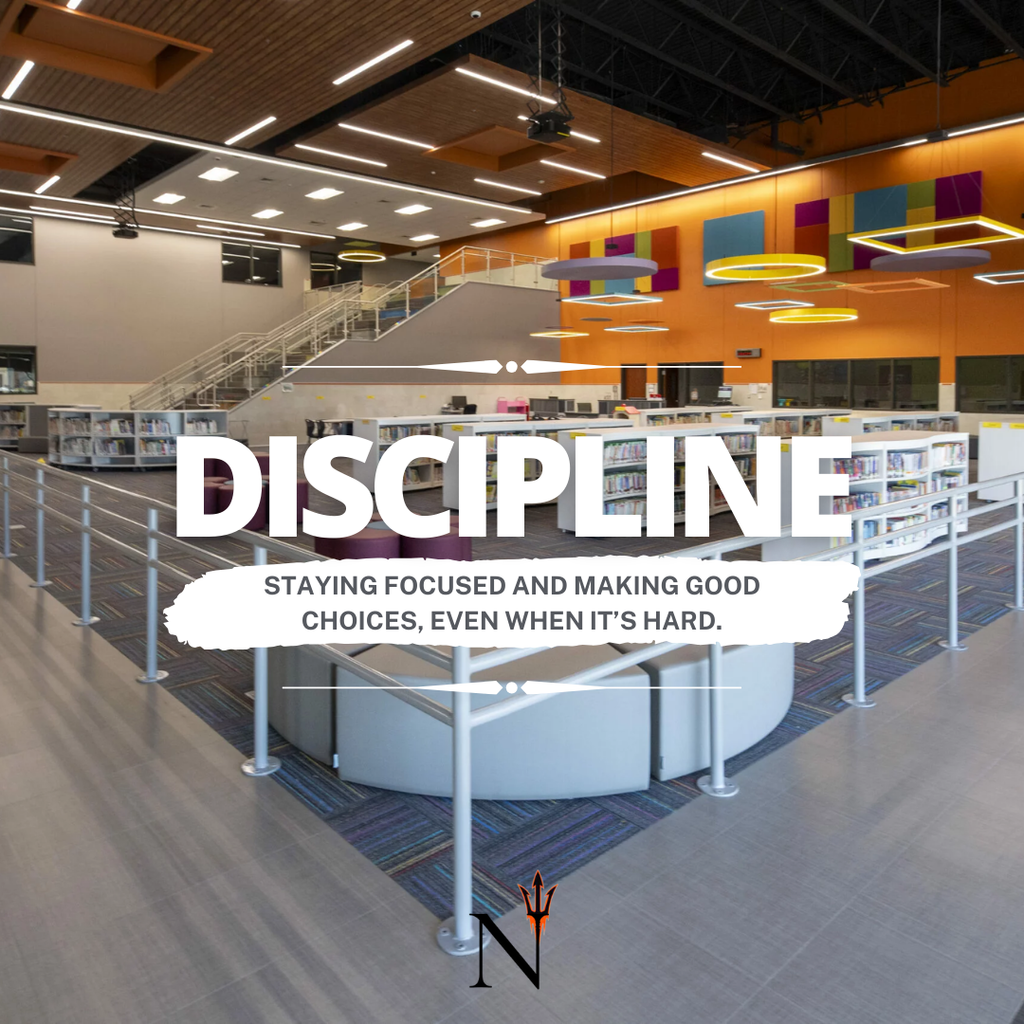 discipline