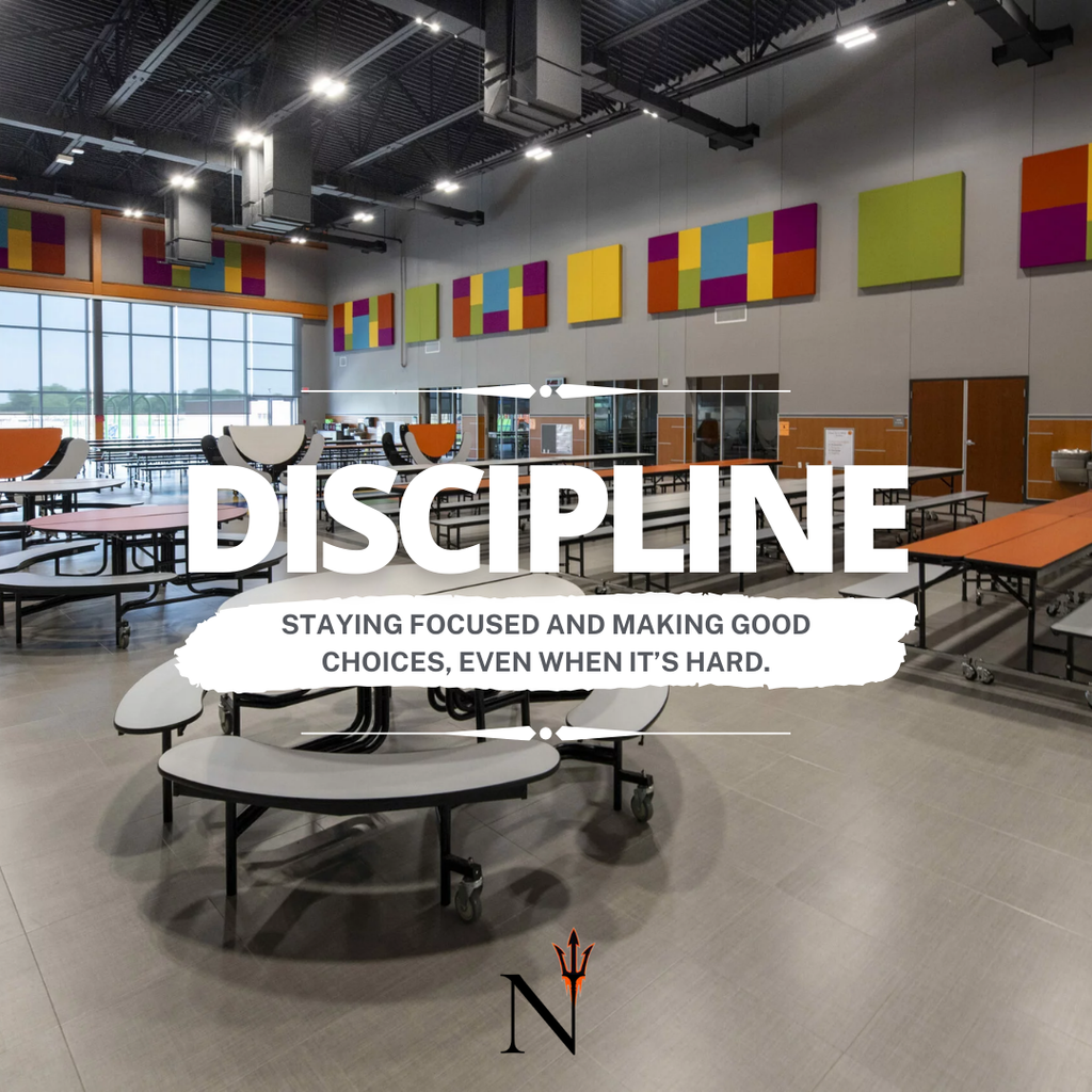 discipline