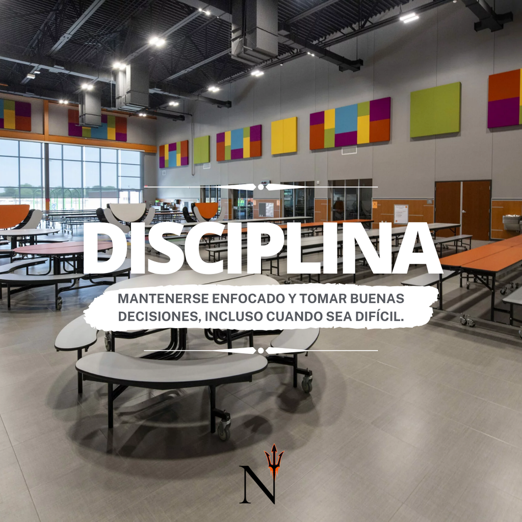 disciplina
