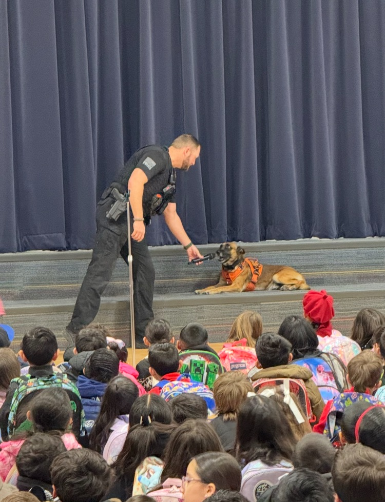 quirk and drift during morning assembly 