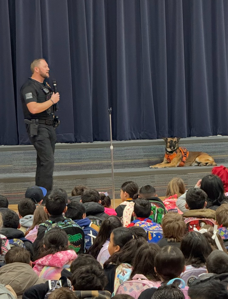 quirk and drift during morning assembly 