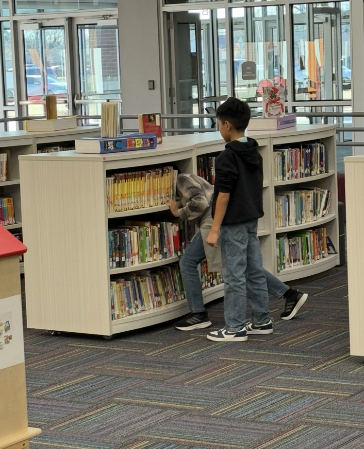 library spotlight 