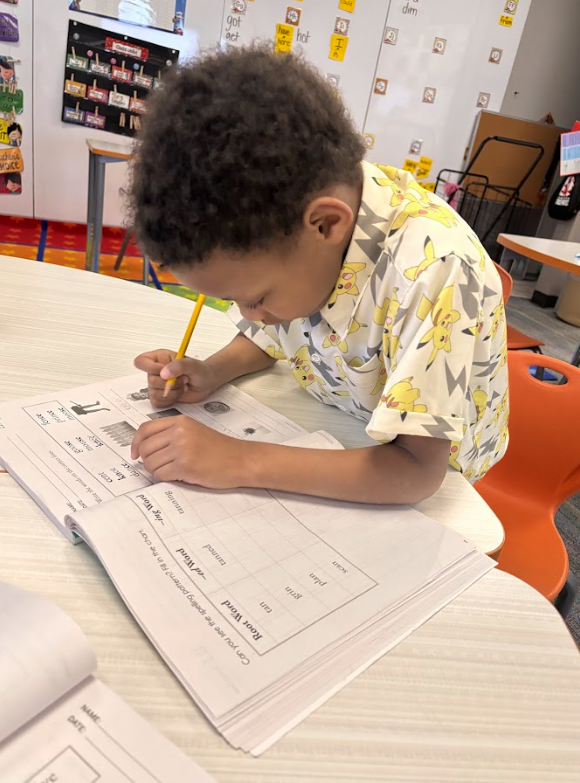 LOOKINGBILL SPOTLIGHT