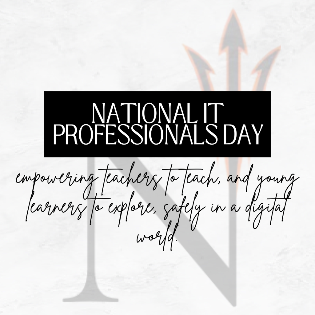 national IT professionals day