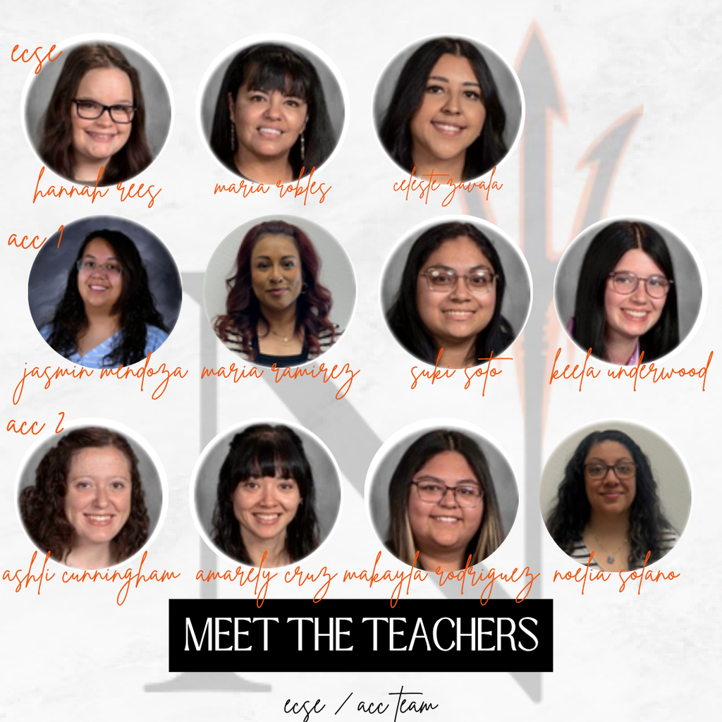 meet the staff -