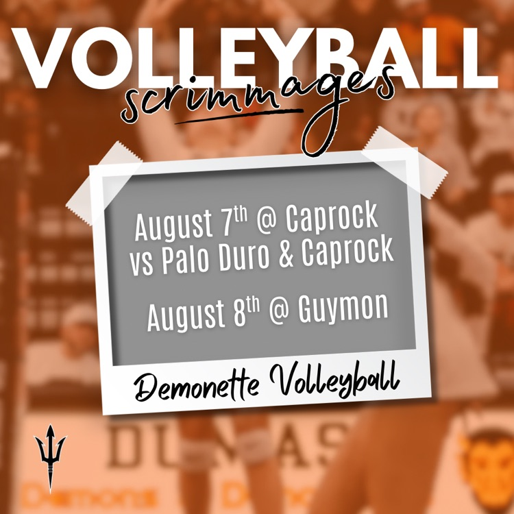 volleyball scrimmages 