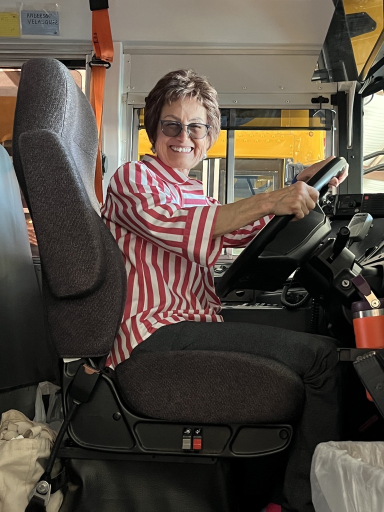 bus driver in driver seat