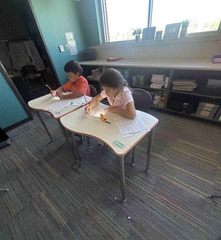 Morillon spotlight