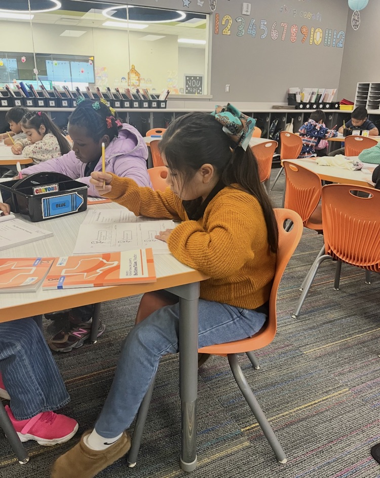 Ms Gallegos class spotlight