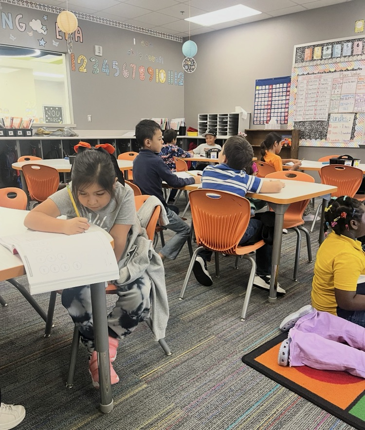 Ms Gallegos class spotlight