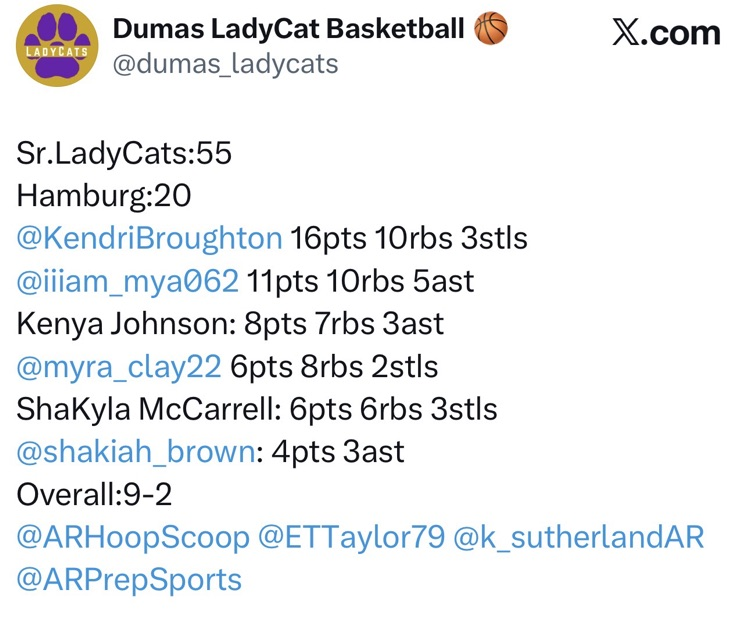LadyCats 